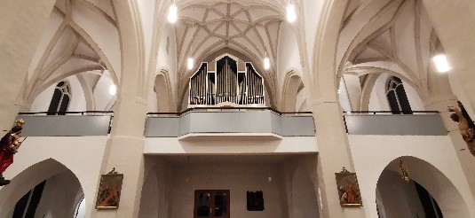 Neue Schuppentür Neue Schuppentür Neubau